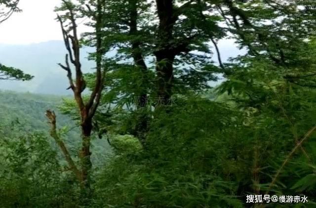 欢乐京津冀一起过大年 京津冀共同启动新春文旅系列活动